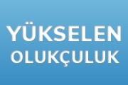 Yükselen Olukçuluk