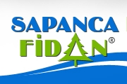 Sapanca Fidan
