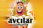 Avcılar Yumurta