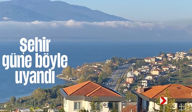 Sakarya'da sis etkili oldu