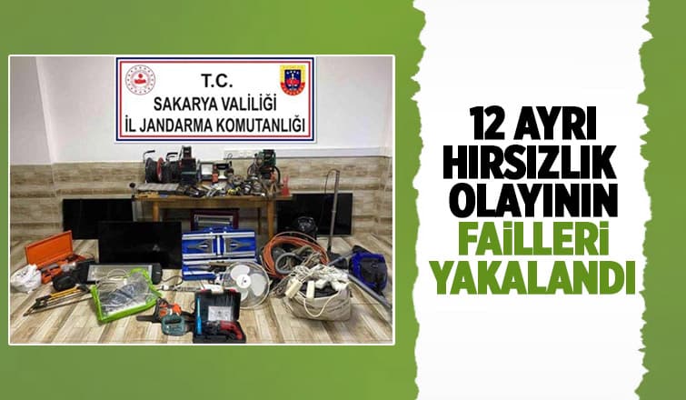 Karasu'da Azılı Hırsızlar Yakalandı