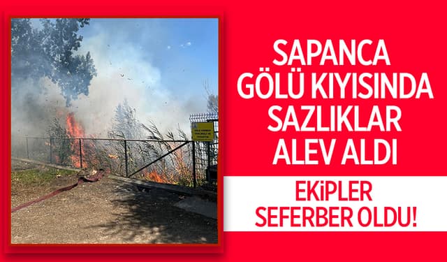 Sapanca Gölü’nde Sazlık Yangını Paniği!