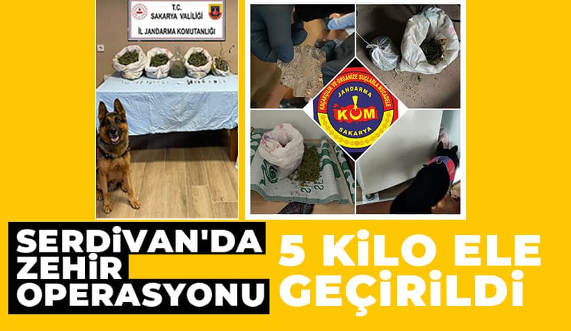 5 Kilo Esrar Ele Geçirildi: 1 Gözaltı