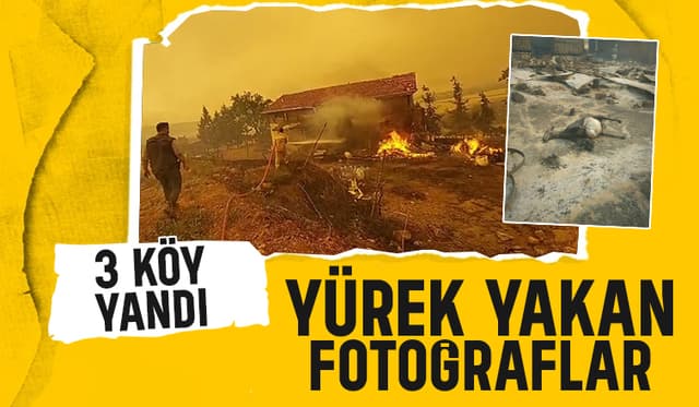 Alevler 3 Köyü Sardı; Yürek Yakan Kareler