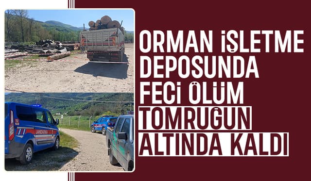 Düşen tomruğun altına kalan işçi hayatını kaybetti