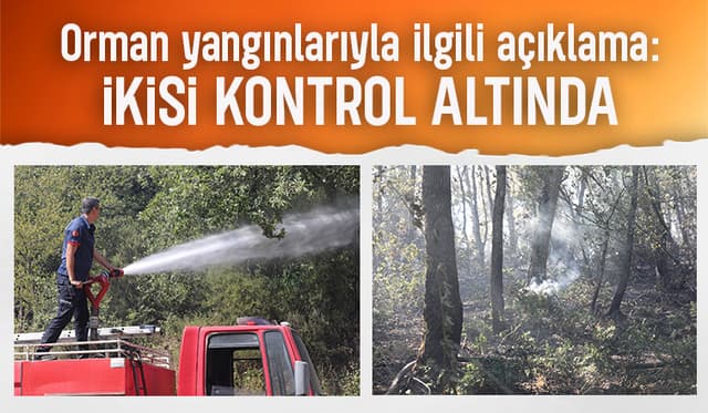 Sakarya'daki 3 yangından ikisi kontrol altında
