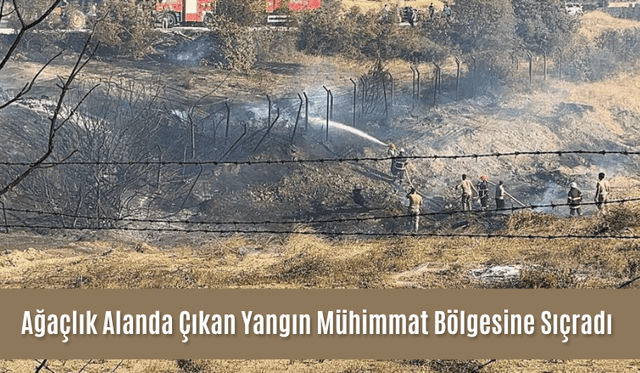 Ağaçlık Alanda Çıkan Yangın Mühimmat Bölgesine Sıçradı