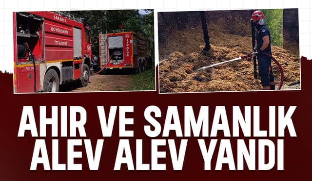 Ahır ve samanlık kül oldu