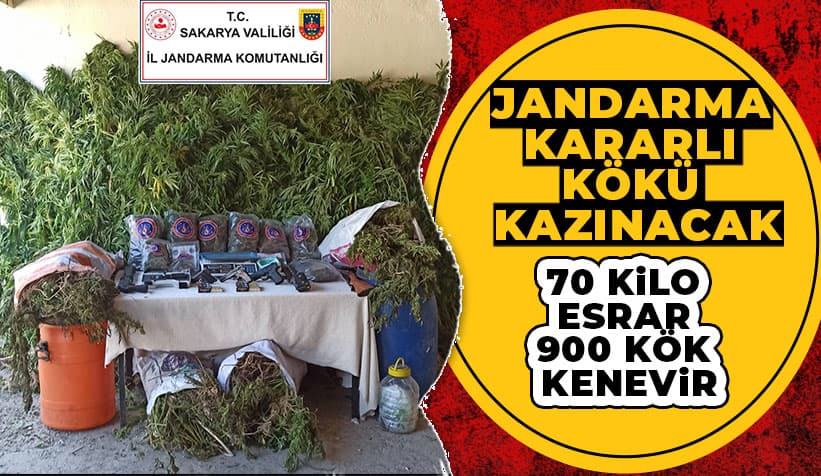 Akyazı'da 70 kilo Esrar Ele geçirildi 3 Gözaltı