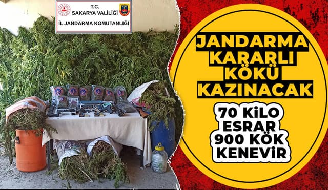 Akyazı'da 70 kilo Esrar Ele geçirildi 3 Gözaltı