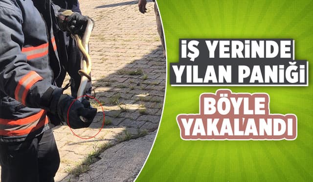 Akyazı'da İş Yerinde Yangın Paniği