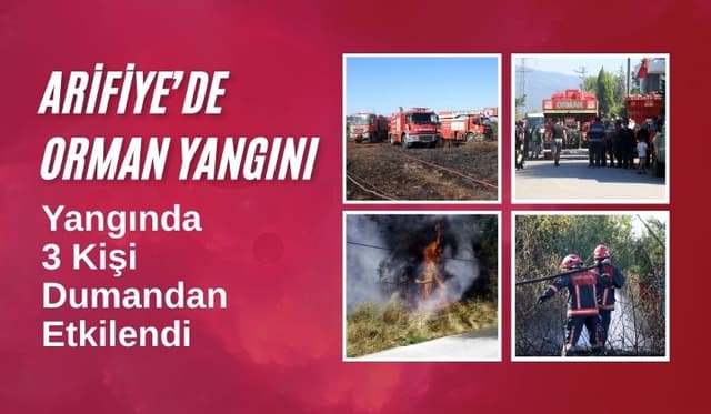 Arifiye’de Orman Yangını Paniğe Neden Oldu: 3 Kişi Dumandan Etkilendi