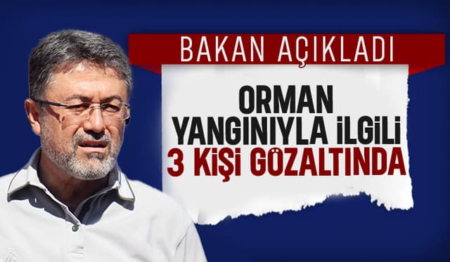 Sakarya'daki orman yangınıyla ilgili 3 kişi gözaltında