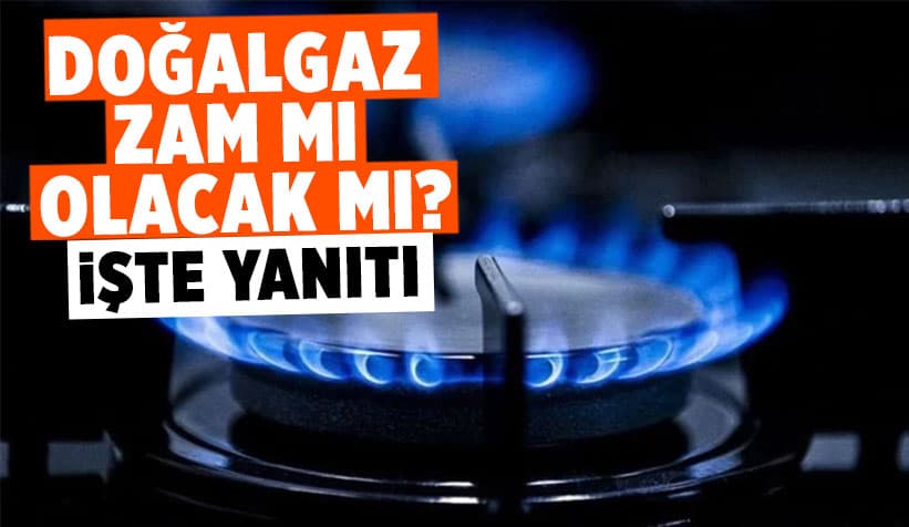 Bakan Dönmez'den Doğalgaz Zammı Açıklaması