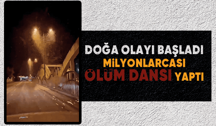 Birgün sineklerinin ölüm dansı başladı