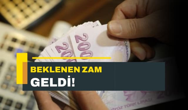 65 Yaş Aylığı, Evde Bakım Maaşı Ve Engelli Maaşı Ne Kadar Oldu?