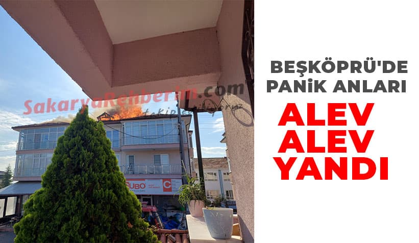 Beşköprü'de Yangın