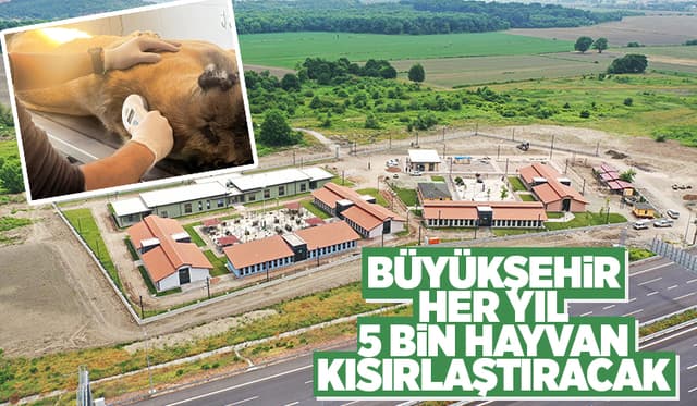 Bölgenin En Büyük Hastanesi Can Dostlara Kucak Açtı