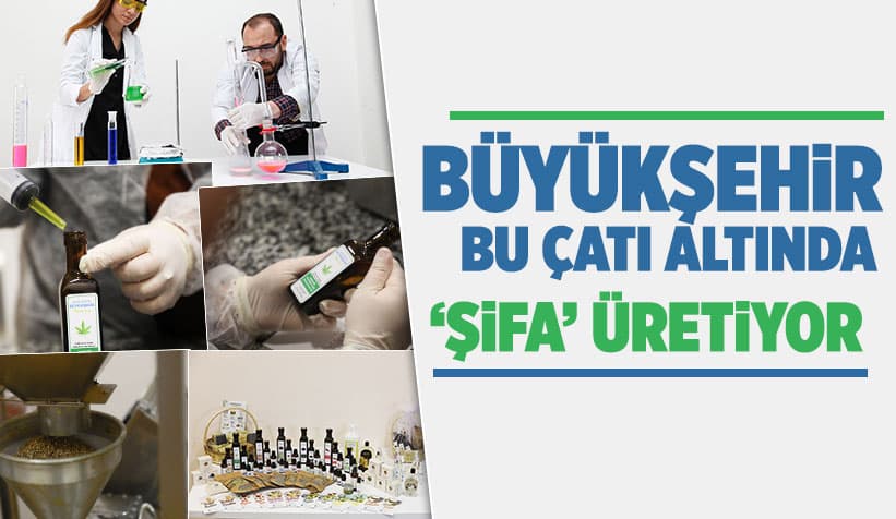 Büyükşehir 1 Yılda 222 Bin Adet Şifalı Ürün Üretti