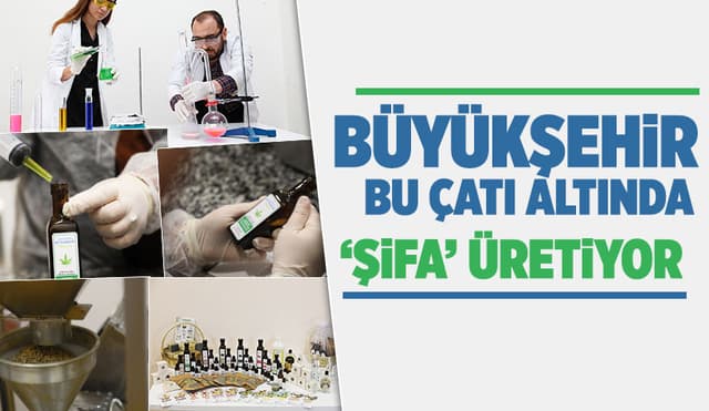 Büyükşehir 1 Yılda 222 Bin Adet Şifalı Ürün Üretti