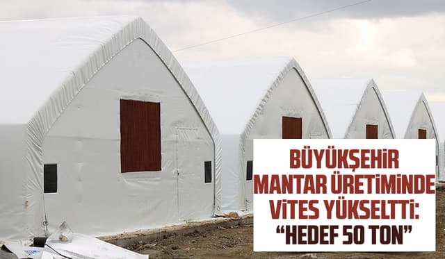 Büyükşehir mantar üretiminde vites yükseltti