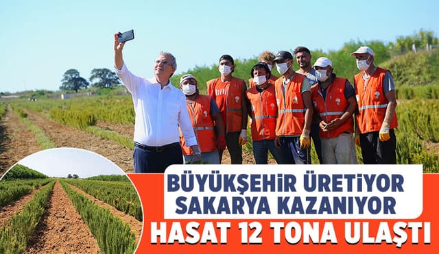Büyükşehir Üretiyor, Sakarya Kazanıyor Hasat 12 Tona Ulaştı