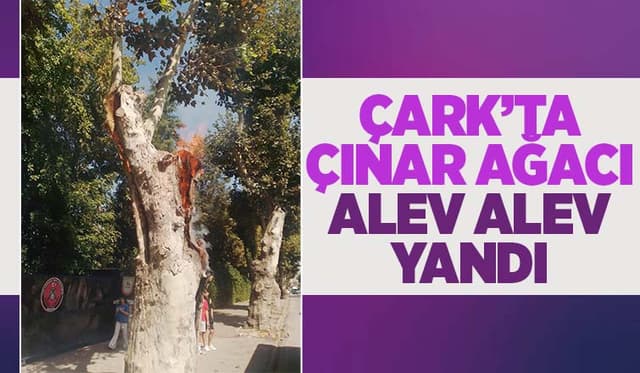 Çark'ta Hareketli Dakikalar Alev Aldı