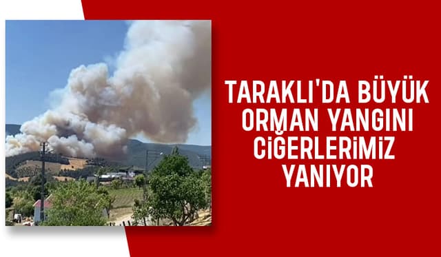 Taraklı'da orman yangını