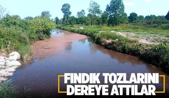Dereye Atılan Fındık Tozları Tepkiye Neden Oldu