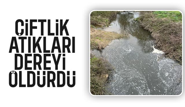 Dere atıklardan siyaha döndü