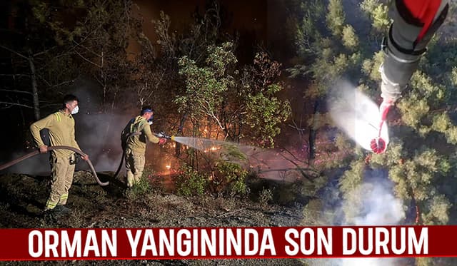 Geyve'deki Orman Yangınında Yeni Gelişme: Müdahale Sürüyor