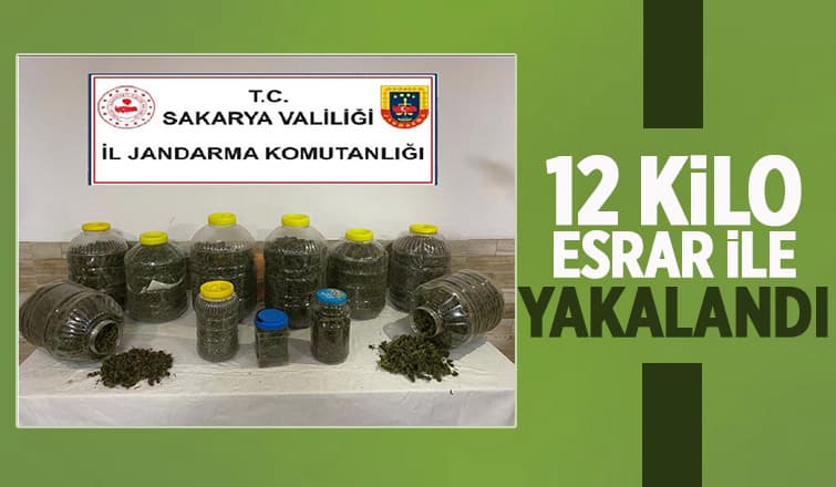 Karasu'da zehir operasyonu