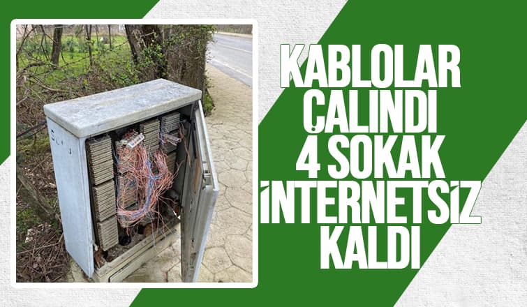 Evler internetsiz kaldı, gerçek sonra ortaya çıktı