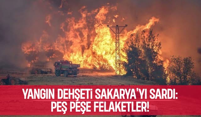 Sakarya orman yangınları ile boğuşuyor; İki ilçede 3 yangın