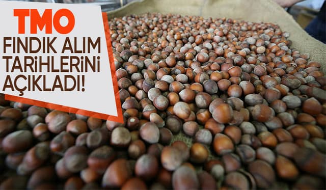 TMO'dan fındık alım açıklaması