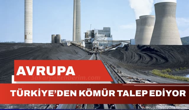 Avrupa Türkiye'den Kömür Talep Ediyor
