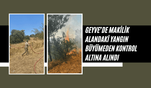 Geyve’de makilik alandaki yangın büyümeden kontrol altına alındı