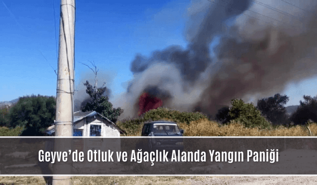 Geyve’de Otluk ve Ağaçlık Alanda Yangın Paniği