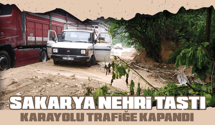 Sakarya Nehri Taştı