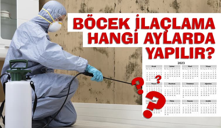 Böcek ilaçlama hangi aylarda yapılır?