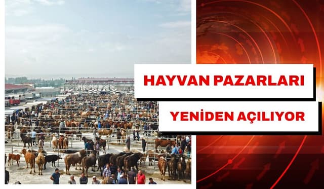 Hayvan Pazarı Yeniden Açılıyor
