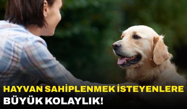 Hayvan Sahiplenmek İsteyenler İçin Büyük Kolaylık