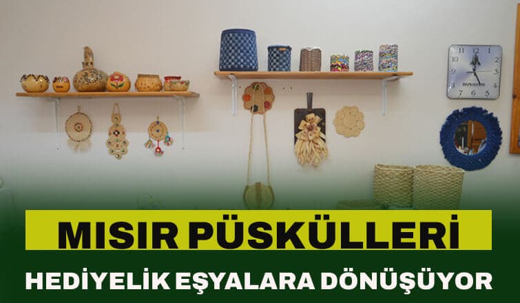 Mısır Püsküllerinin Hediyelik Eşyalara Dönüşümü