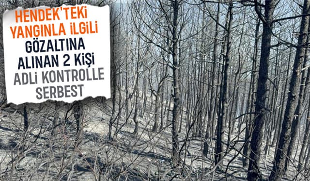 Hendek’teki Orman Yangınıyla İlgili 2 Kişi Adli Kontrolle Serbest