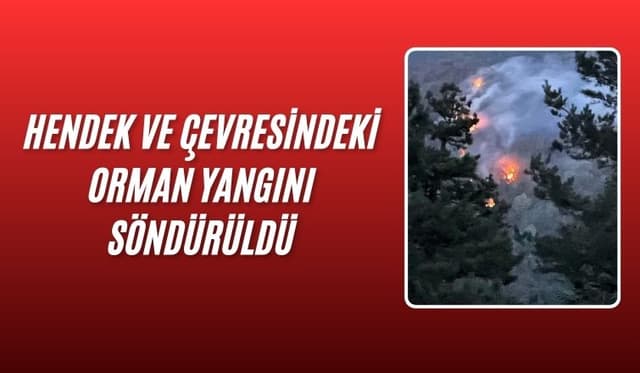 Hendek ve Akyazı'daki orman yangını söndürüldü: Soğutma çalışmaları sürüyor