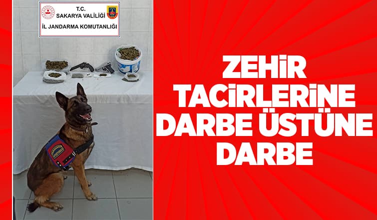Hendek'te Zehir Tacirlerine Operasyon