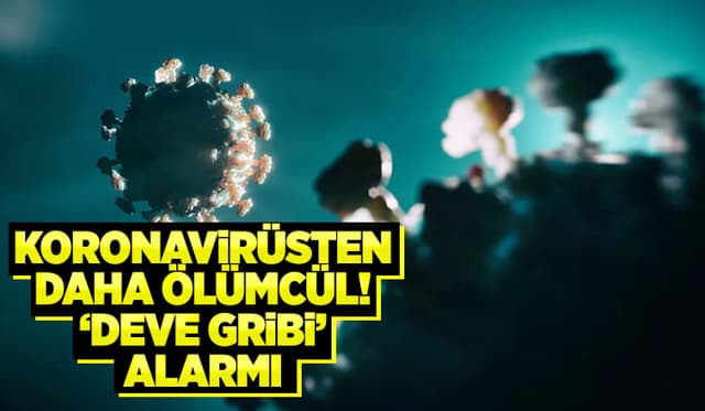 İnsandan İnsana Bulaşıyor, Dünya Kupası'ndan Yayılabilir