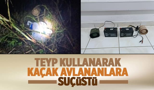 Kuş Sesi Çıkaran Teyple Avcılığa Suçüstü