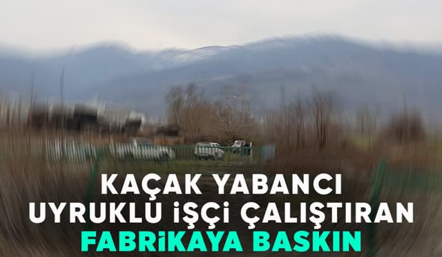 Fabrikada çok sayıda kaçak yabancı uyruklu işçi yakalandı