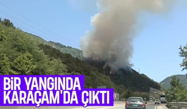 Karaçam'da orman yangını